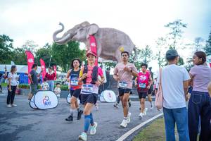 BIB: 
                            <button type="button" onclick="openModal(26551659)" class="btn btn-primary btn-sm float-right btn-popup" data-toggle="modal" data-target=".modal-high-quality">
                        <i class="fas fa-shopping-cart"></i> Add to Cart
                    </button>
                                            <button type="button" onclick="isThisMe(26551659, true)" class="btn btn-success btn-sm float-right btn-popup btn-isme hidden" data-toggle="tooltip" data-placement="bottom" title="นี่คือรูปของคุณใช่ไหม คลิกที่นี่เพื่อเอาเข้าอัลบั้ม">
                        <i class="fas fa-plus"></i> Add to album
                    </button>
                    <button type="button" onclick="isThisMe(26551659, false)" class="btn btn-warning btn-sm float-right btn-popup btn-isnotme hidden">
                        <i class="fas fa-ban"></i> Remove from album
                    </button>